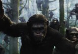 Фильм Планета обезьян: Революция / Dawn of the Planet of the Apes (2014) - cцена 2
