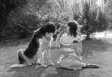 Фильм Шерлок младший / Sherlock Jr. (1924) - cцена 1