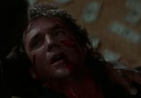 Сцена из фильма Смертельное оружие 2 / Lethal weapon 2 (1989) Смертельное оружие 2 сцена 13