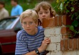 Фильм Бетховен 2 / Beethoven's 2nd (1993) - cцена 2