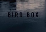 Фильм Птичий короб / Bird Box (2018) - cцена 6
