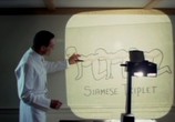Фильм Человеческая многоножка / The Human Centipede (2009) - cцена 3