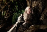 Фильм Хоббит: Нежданное путешествие / The Hobbit: An Unexpected Journey (2012) - cцена 4