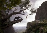 Фильм Книга джунглей / The Jungle Book (2016) - cцена 5