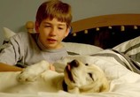 Фильм Тигриный хвост / A Tiger's Tail (2014) - cцена 2