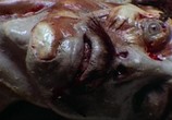 Фильм Челюсти 3 / Jaws 3 (1983) - cцена 3