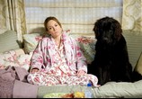 Фильм Любовь к собакам обязательна / Must Love Dogs (2005) - cцена 1