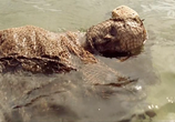 Сериал Убийства на Сандхамне / Morden i Sandhamn (2010) - cцена 1