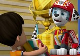 Мультфильм Щенячий патруль: скорей спешим на помощь / Paw Patrol: Ready, Race, Rescue! (2020) - cцена 5