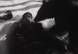Фильм Повесть о настоящем человеке (1948) - cцена 1