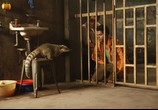 Фильм Джунгли зовут! В поисках Марсупилами  / Sur la piste du Marsupilami (2012) - cцена 3