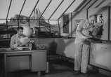 Фильм Монстр из Зеленого Ада / Monster from Green Hell (1957) - cцена 3