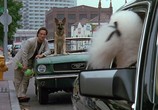 Фильм K-9: Собачья работа: Трилогия / K-9: Trilogy (1989) - cцена 6