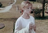Фильм Чайка (1970) - cцена 8