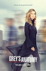 Анатомия страсти / Grey's Anatomy (2007)