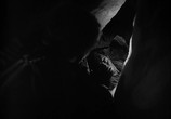 Фильм Туз в рукаве / Ace in the Hole (1951) - cцена 3
