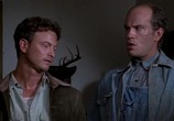 Фильм О мышах и людях / Of Mice and Men (1992) - cцена 6