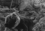 Фильм Сын Конга / The Son of Kong (1933) - cцена 1