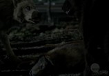 Сериал Укушенная / Bitten (2014) - cцена 6