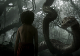 Фильм Книга джунглей / The Jungle Book (2016) - cцена 2