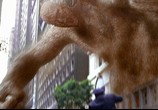 Фильм Человек-паук 3: враг в отражении / Spider-Man 3 (2007) - cцена 5