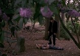 Фильм Се ля ви / C'est la vie (2001) - cцена 5