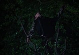 Сериал Берёза / The Birch (2019) - cцена 1