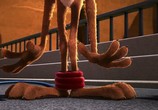Мультфильм Безумные мелодии: Дорожный бегун и койот / Looney Tunes: Road Runner & Coyote Theatrical cartoons (2010) - cцена 2