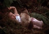 Фильм Дорога домой - Невероятное путешествие / Homeward Bound - The Incredible Journey (1993) - cцена 1