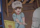 Мультфильм Работа клеток / Hataraku Saibou (2018) - cцена 2