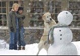 Фильм Марли и я / Marley & Me (2009) - cцена 2