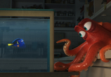 Мультфильм В поисках Дори / Finding Dory (2016) - cцена 3