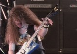 Музыка Pantera: 3 Vulgar Videos From Hell (2006) - cцена 1