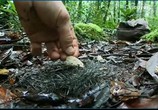 ТВ Эд Стаффорд: Голое выживание / Ed Stafford: Naked and Marooned (2014) - cцена 2