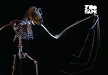 ТВ Взрослые сказки о животных / Twisted Tales (2006) - cцена 1
