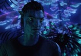 Фильм Аватар / Avatar (2009) - cцена 9