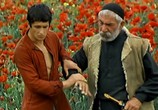 Фильм Древо желания (1977) - cцена 1