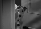Фильм Тонкий человек / The Thin man (1934) - cцена 3