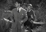 Фильм Это случилось однажды ночью / It happened one night (1934) - cцена 3