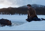 Фильм Птицелов / The Birdcatcher (2019) - cцена 1