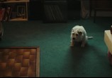 Фильм Сверх(НЕ)естественное / Extra Ordinary (2019) - cцена 6