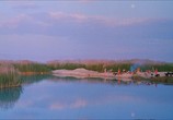 Сцена из фильма Габбех / Gabbeh (1996) Габбех сцена 14