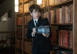 Фильм Артемис Фаул / Artemis Fowl (2020) - cцена 5