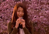 Сериал Мёд и клевер / Hachimitsu to kurôbâ (2008) - cцена 3
