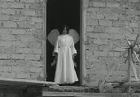 Фильм Птицы большие и малые / Uccellacci e uccellini (1966) - cцена 1