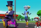 Мультфильм Щенячий патруль: скорей спешим на помощь / Paw Patrol: Ready, Race, Rescue! (2020) - cцена 4