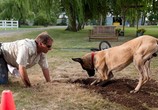 Фильм Мармадюк / Marmaduke (2010) - cцена 3