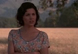 Фильм О мышах и людях / Of Mice and Men (1992) - cцена 1