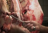 ТВ Исцеление планеты: Важно, что ты ешь / H.O.P.E. What You Eat Matters (2018) - cцена 6