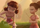 Мультфильм Феи 1-5 (2008-2012) / Tinker Bell 1-5 (2008) - cцена 3